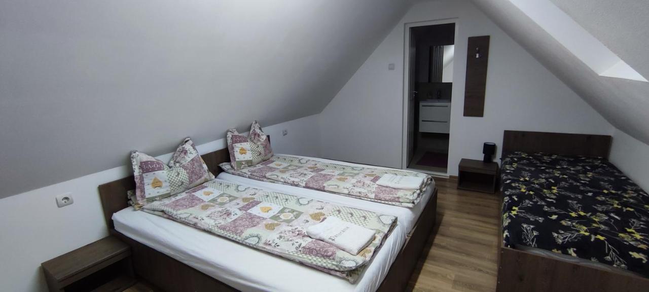 Farkaslaki Panorama Vendeghaz Hotel Lupeni  Buitenkant foto