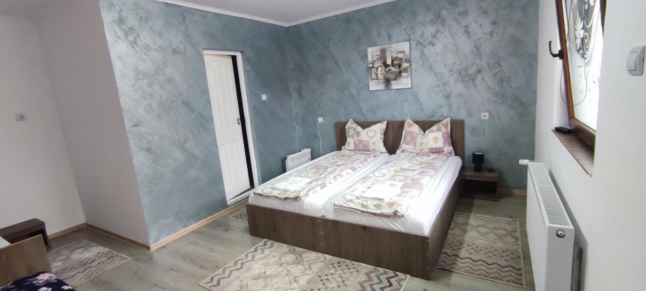 Farkaslaki Panorama Vendeghaz Hotel Lupeni  Buitenkant foto