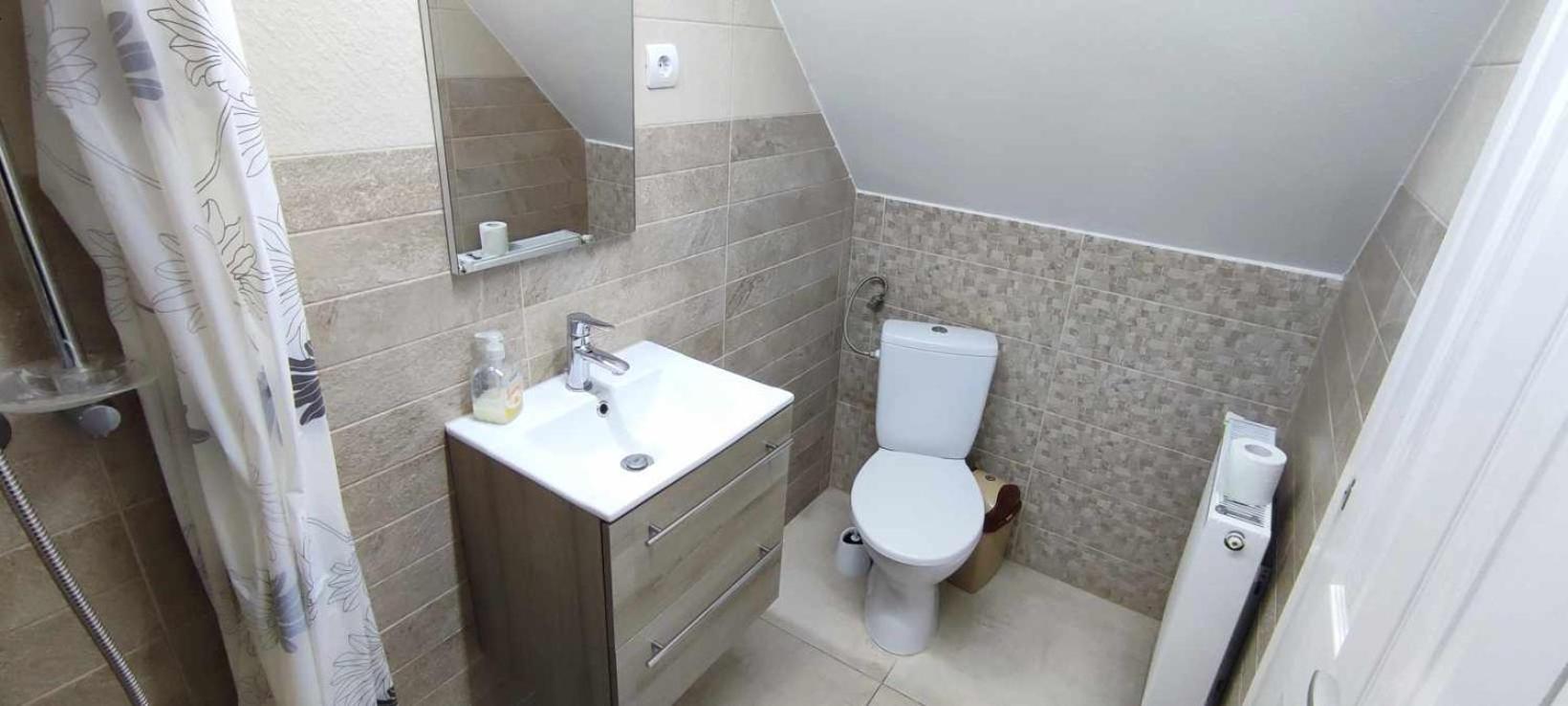Farkaslaki Panorama Vendeghaz Hotel Lupeni  Buitenkant foto